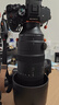 适马（SIGMA）60-600mm F4.5-6.3 DG DN OS｜Sports 全画幅微单 超远摄变焦镜头 人像打鸟（索尼E口） 实拍图