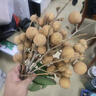罗曼诺（ROMANO）男士沐浴露持久留香 香氛沐浴乳2支450ml家庭装 经典+品魅 实拍图