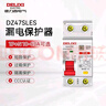 德力西电气 漏电保护器 2P 25A DZ47SLES 小型家用微型断路器 总闸开关 空气开关 空开带漏保 实拍图
