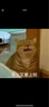 盖世小鸡（GAMESIR）启明星无线游戏手柄switch2手柄 手机steam安卓苹果PC电脑蓝牙NS2pro黑神话双人成行霍尔摇杆粉色 实拍图