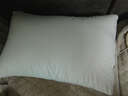 全季五星级酒店专用羽丝绒枕头护颈助睡眠枕头颈椎枕成人枕头 酒店同款羽绒枕 A类 单只 高枕 单枕【睡后10-12cm左右】 实拍图