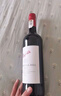 奔富（PENFOLDS）bin系列  澳洲干红酒葡萄酒 西拉赤霞珠 750ml 原瓶进口 聚餐送礼 奔富bin407 干红葡萄酒 750ml 实拍图
