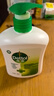 滴露（Dettol）洗手液松木500g瓶 健康抑菌消毒非补充装 儿童家庭用清爽去油 实拍图