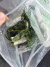 疯狂水草鱼草缸水草造景水草植物直接入缸净化水质40-60cm缸源头直发包邮a 实拍图