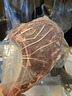 恒都 国产战斧原切牛排 600g/袋 2片 冷冻 谷饲牛肉 实拍图