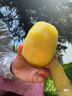 佳沛（zespri）新西兰 阳光金奇异果12粒礼盒特大果单果约122-146g 猕猴桃 水果 实拍图