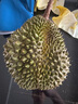 市舶士马来西亚猫山王榴莲D197整果树熟液氮冷冻榴莲进口水果礼盒 【拍下升AA级2.6-3.0斤发】A级精品 2.6-3.0斤 实拍图