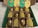 佳沛（zespri）新西兰 阳光金奇异果12粒礼盒特大果单果约122-146g 猕猴桃 水果 实拍图