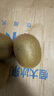 佳沛（zespri）绿奇异果 优选大果12粒单果约113-135g  水果礼盒 猕猴桃 实拍图