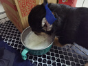 腆宠狗笼猫笼 狗笼子中小型犬带厕所幼犬狗窝猫笼子大号家用围栏兔笼 实拍图
