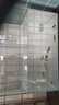 坤宁王金晶超白玻璃鱼缸40*30方缸家用小型裸缸桌面造景溪流缸乌龟缸 实拍图