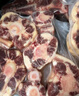 京觅 澳洲草饲原切牛尾1kg 炖煮滋补牛肉 京东自有品牌 实拍图