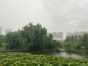 乐活旅行游泳健身包男干湿分离大容量旅行包运动背包篮球包手提男士行李袋 实拍图