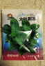 易发芽大叶香菜种子香菜籽耐热四季阳台室内盆栽种籽蔬菜种子大全 正品新种大叶荆芥约1500粒1包 实拍图