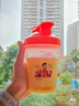 康比特分离乳清蛋白粉增肌粉高蛋白低脂低乳糖健身人士蛋白粉1800g 实拍图