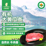 天莱香牛 新疆有机黄瓜条牛肉300g 谷饲排酸 生鲜牛肉 烧烤食材【真原切】 实拍图