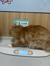 皇家皇家室内成猫粮 I27 通用粮 12月以上 4.5KG 实拍图
