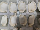 三全私厨系列虾仁玉米水饺480g30只 虾饺早餐食品速冻饺子蒸饺煎饺 实拍图