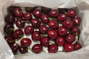 京觅 大连美早樱桃车厘子 J级净重4.8斤 单果8-10g 水果源头直发 实拍图