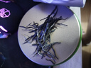 一杯香茶叶绿茶明前嫩芽毛尖茶250g礼盒装2025新茶春茶散装自己喝送礼 实拍图