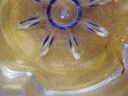疯狂水草孔雀鱼活体水族宠物观赏鱼冷水耐活小型热带鱼淡水鱼苗 【3CM左右】精品孔雀鱼A 共8条 实拍图