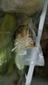 五芳斋粽子中华老字号嘉兴特产蛋黄猪肉粽五芳鸿禧礼袋粽120克*4只 实拍图