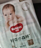 好奇（Huggies）心钻装小森林纸尿裤XL32片(12-17kg)加大号尿不湿透气夏季超薄 实拍图