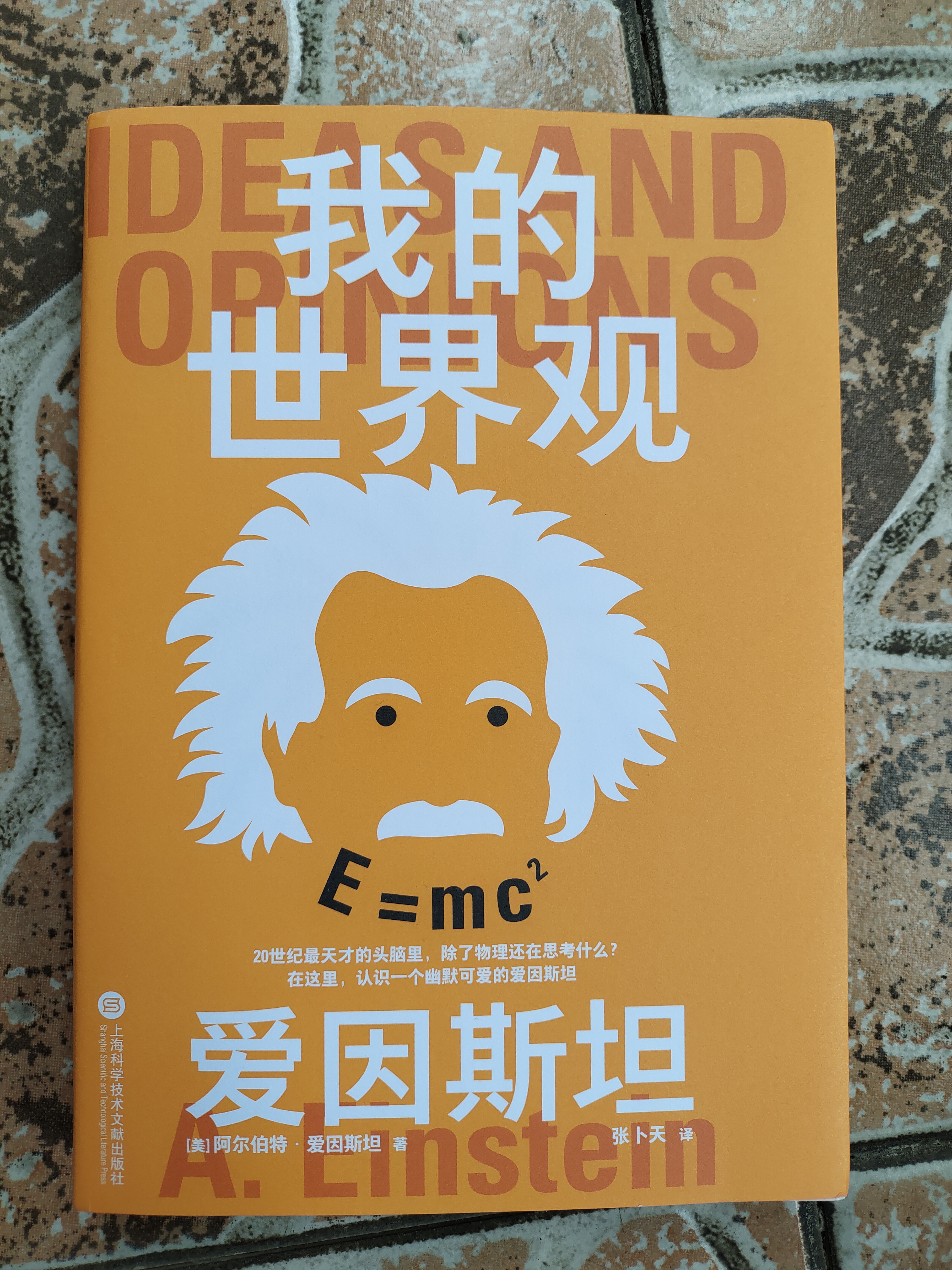 果麦经典·科学大师系列：我的世界观（天才的头脑里，除了物理还在思考什么？） 实拍图