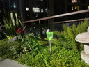颖朗太阳能草坪灯户外家用庭院别墅景观花园草地院子装饰插地小夜灯 实拍图