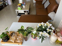 半隅雅居桌子简易出租屋电脑桌卧室家用女生小户型学习写字桌办公桌工作台 【加粗桌腿】暖白色120*60cm 实拍图