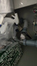 潜水艇（Submarine）CSQ-2C菜盆下水管双槽水槽防臭省空间下水管ABS材质拉伸95厘米 实拍图