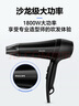 飞利浦（PHILIPS）电吹风机家用大功率 恒温速干 发廊沙龙专业级吹风筒 恒温护发+1800W+6档丨旗舰款 实拍图