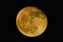 索尼（SONY）FE 200-600mm F5.6-6.3 G OSS 全画幅超远摄变焦G镜头打鸟镜头 (SEL200600G) 实拍图