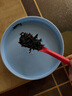 五虎（WU HU）新茶红茶正山小种特级红茶叶浓香型散装罐装送礼600g 实拍图