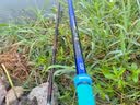 达亿瓦（DAIWA）波纹龙Y三代目振出式台钓竿手杆鲤鱼鲫鱼进口鱼竿 4.8m CLASS 4 48 实拍图