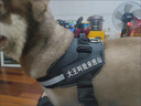 贝初众狗绳大型犬牵引绳狗狗牵引绳胸背带遛狗绳中型犬大狗金毛边牧p绳 狗狗胸背带-赠送牵引绳*1字帖*4 黑色 M-适合22-40斤狗狗 防爆冲胸背带-轻便不勒脖-反光条 实拍图