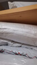 洁丽雅（Grace）纤维枕 星级酒店枕头枕芯 46*72cm 一对装（2只装） 实拍图