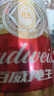 百威啤酒经典纯生330ml*24听整箱装新旧包装随机  实拍图