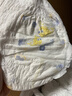 菲比Fitti秒吸舒爽乐玩裤拉拉裤XL114片(12-17kg)加大码裤型瞬吸干爽 实拍图