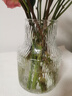 吕姆克玻璃花瓶富贵竹玫瑰百合满天星透明花器干花插花瓶客厅装饰5326 实拍图