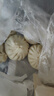 狗不理包子 纯手工猪肉白菜420g 12个主食面点小笼包早餐天津特产      实拍图