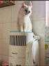 霍尼韦尔（Honeywell）宠物猫用空气净化器霍哈宝H-Cat Hub吸猫毛除甲醛过敏源杀菌消毒除异味KJ520F-C22W家电国家补贴 实拍图