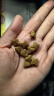 皇家狗粮 幼犬狗粮 犬粮 通用犬型 A3 通用粮 2-12月 3KG 实拍图