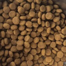 皇家狗粮 成犬狗粮 犬粮 通用犬型 CC 通用粮 ≥12月 3KG 实拍图