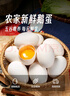 耕果妙新鲜大鹅蛋6枚1.2斤农家散养新鲜鹅蛋100-130g/枚 源头直发 包邮 实拍图