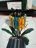 乐高（LEGO）积木拼装10311 兰花永生花男孩女孩女生玩具生日礼物 实拍图