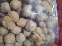 西域美农新疆温宿185纸皮核桃1.6Kg(赠核桃夹）无防腐浸泡送礼孕妇零食 实拍图