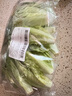 【高原夏菜】钟灵山罗马生菜400g 实拍图