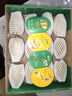 佳沛（zespri）新西兰 阳光金奇异果12粒礼盒特大果单果约122-146g 猕猴桃 水果 实拍图