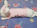 蓓斯曼兔子毛绒玩具趴兔睡觉抱枕布娃娃玩偶陪睡生日礼物送女生夹腿布偶 粉色爱的就是你蝴蝶结兔 1.2米 实拍图